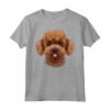 Faccia di Cane Barboncino Toy Marrone - Maglietta Divertente per Amanti degli Animali - Design Creativo Unico