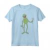 HapTiger The Muppets Kermit The Frog Portrait Maglietta - Officially Licensed Apparel for Kermit Fans