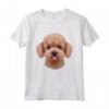 Faccia di Cane Barboncino Toy Crema Maglietta - Design Unico per Amanti degli Animali - Ideale come Regalo