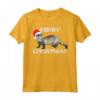 Divertente Ferret Shirt - T-shirt di Natale con Santa Ferret - Regalo Maglietta per Amanti dei Furetti
