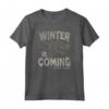 HapTiger Winter is Coming - Official Fantasy TV Series T-shirt - Authentic Merchandise by George R. R. Martin