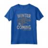 HapTiger Winter is Coming - Official Fantasy TV Series T-shirt - Authentic Merchandise by George R. R. Martin
