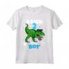 Rawr I'm 2 Birthday Boy - Dinosauro 2° Compleanno T Rex Gift Maglietta - Ideale per Bambini Appassionati di Dinosauri del 2017