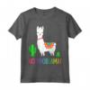 Llama No Problama - Divertente Lama Gift Cactus Design Maglietta - Ideale per gli Amanti degli Animali