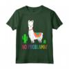 Llama No Problama - Divertente Lama Gift Cactus Design Maglietta - Ideale per gli Amanti degli Animali