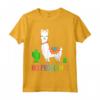 Llama No Problama - Divertente Lama Gift Cactus Design Maglietta - Ideale per gli Amanti degli Animali