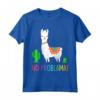 Llama No Problama - Divertente Lama Gift Cactus Design Maglietta - Ideale per gli Amanti degli Animali