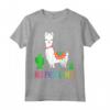 Llama No Problama - Divertente Lama Gift Cactus Design Maglietta - Ideale per gli Amanti degli Animali