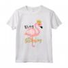 It's My The Birthday Princess - Camicia con Fenicottero per Bambine - Ideale per Feste a Tema Fenicottero - Regalo di Compleanno
