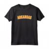 Souvenir vintage retrò dello stato dell'Arkansas Maglietta - Icons Minimal Simple Shirts - Ideale per Turisti e Amanti dei Viaggi