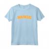 Souvenir vintage retrò dello stato dell'Arkansas Maglietta - Icons Minimal Simple Shirts - Ideale per Turisti e Amanti dei Viaggi