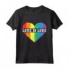 Gay Lesbiche Orgoglio - Vintage Arcobaleno Cuore LGBT Amore è Amore Maglietta - Abbigliamento Uguaglianza e Accettazione