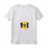 HapTiger Maglietta con Collo a V - Leggera e Taglio Classico - Ideale per Abbigliamento Casual