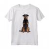 Beauceron Maglietta - Illustrazione Beauceron Leggera - Ideale per Amanti della Razza Canina