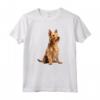Berger Picard Maglietta - Design Illustrazione per Veri Amanti dei Cani Berger Picard