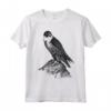 Falco Pellegrino Falconeria - Uccello Rapace Regalo Maglietta per Appassionati - Ideale per Birdwatchers e Amanti degli Uccelli Rapaci
