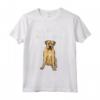 Amico Per La Vita Di Boerboel - Design Divertente Maglietta per Amanti dei Cani - Ideale per Regalo