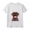 Donna Boerboel Cartoon Artwork Maglietta con Collo a V - Ideale per gli Amanti dei Cani Boerboel