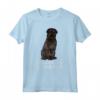 Cane Bovaro delle Fiandre Maglietta - Bouvier des Flandres Crazy Dog Lover - Ideale per gli Amanti dei Cani