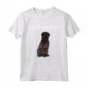 Chiedimi Del Mio Cane Bovaro delle Fiandre - Maglietta Divertente per Amanti dei Cani - Funny Ask Me About My Bouvier des Flandres Dog Lover Design