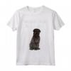 Amico Per La Vita di Bouvier des Flandres - Design Divertente Cane Maglietta - Ideale per Amanti dei Cani