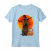 Boykin Spaniel Zucca Di Halloween Maglietta - Design Divertente per Amanti dei Cani - Regalo Unico per Halloween