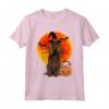 Boykin Spaniel Zucca Di Halloween Maglietta - Design Divertente per Amanti dei Cani - Regalo Unico per Halloween
