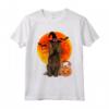 Boykin Spaniel Zucca Di Halloween Maglietta - Design Divertente per Amanti dei Cani - Regalo Unico per Halloween