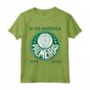 Camiseta Palmeiras Bi America Brasil - Maglietta da Calcio Ufficiale - Supporter Palmeiras Coppa Libertadores