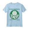 Camiseta Palmeiras Bi America Brasil - Maglietta da Calcio Ufficiale - Supporter Palmeiras Coppa Libertadores