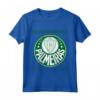 Camiseta Palmeiras Bi America Brasil - Maglietta da Calcio Ufficiale - Supporter Palmeiras Coppa Libertadores