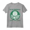 Camiseta Palmeiras Bi America Brasil - Maglietta da Calcio Ufficiale - Supporter Palmeiras Coppa Libertadores