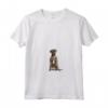 Donna HapTiger - Maglietta con Collo a V per Amanti dei Bullmastiff - Idea Regalo per Chi Ama i Cani