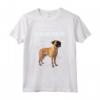 Anatomia Di Un Bullmastiff - Divertente Maglietta con Design - Ideale per Amanti dei Cani
