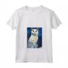 Donna Burmilla Cat Notte Stellata Pittura Maglietta con Collo a V - Il Miglior Regalo per Amanti dei Gatti Burmilla - Ideale per Natale, Ringraziamento o Compleanni