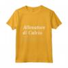 Allenatore Calcio Definizione - Regalo Calciatore Maglietta per Appassionati - Ideale Compleanno Uomo Donna