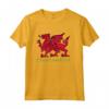 Regalo per Fan del Rugby Gallese - Cymru Am Byth Felpa con Cappuccio per Esprimere l'Orgoglio Galles - Design Grafico con Drago Rosso