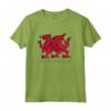 Regalo per Fan del Rugby Gallese - Cymru Am Byth Felpa con Cappuccio per Esprimere l'Orgoglio Galles - Design Grafico con Drago Rosso