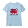Regalo per Fan del Rugby Gallese - Cymru Am Byth Felpa con Cappuccio per Esprimere l'Orgoglio Galles - Design Grafico con Drago Rosso