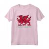 Regalo per Fan del Rugby Gallese - Cymru Am Byth Felpa con Cappuccio per Esprimere l'Orgoglio Galles - Design Grafico con Drago Rosso