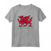 Regalo per Fan del Rugby Gallese - Cymru Am Byth Felpa con Cappuccio per Esprimere l'Orgoglio Galles - Design Grafico con Drago Rosso