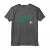 Derry Irlanda Bandiera Distressed Vintage T-Shirt - Mostra l'Orgoglio per la tua Città Natal