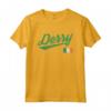 Derry Irlanda Bandiera Distressed Vintage T-Shirt - Mostra l'Orgoglio per la tua Città Natal