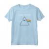 HapTiger The Dark Side Of The Moon Felpa - Felpa Pink Floyd in Cotone 241g - Acquista Online Abbigliamento Rock