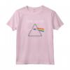 HapTiger The Dark Side Of The Moon Felpa - Felpa Pink Floyd in Cotone 241g - Acquista Online Abbigliamento Rock