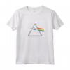 HapTiger The Dark Side Of The Moon Felpa - Felpa Pink Floyd in Cotone 241g - Acquista Online Abbigliamento Rock