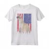 Chausie Cat USA Pride Bandiera Americana Maglietta - Regalo Vintage per Amanti dei Gatti Chausie