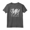 Rugby HapTiger Red Dragon Flag of Wales Maglietta - Support the Welsh Team in Style!