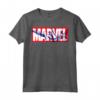 HapTiger Classic Logo Spider-Man Fill Maglietta - Officially Licensed Marvel Apparel for Fans - 19MARV01552A-003 Included