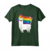 LGBT Bandiera T-Shirt Llama Gay Lesbica Resist - Alpaca Gay Pride Awareness - Ideale come Regalo per Sostenitori della Comunità LGBTQ+
